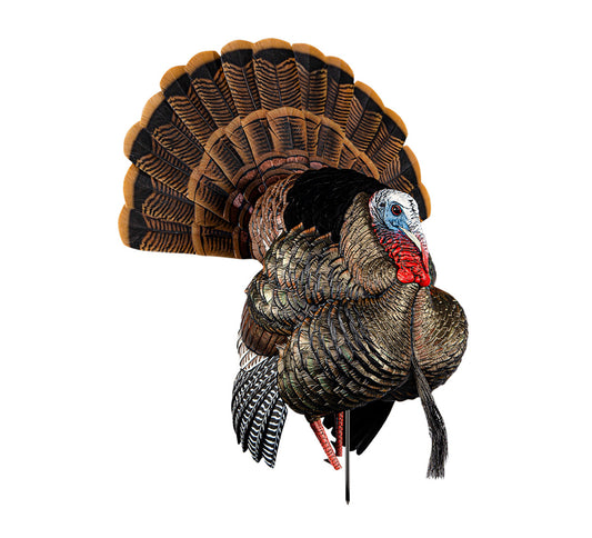 AVIAN X HDR STRUTTER
