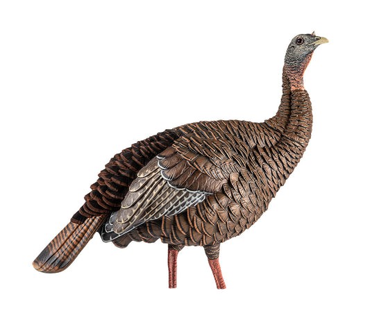 AVIAN X HDR HEN TURKEY